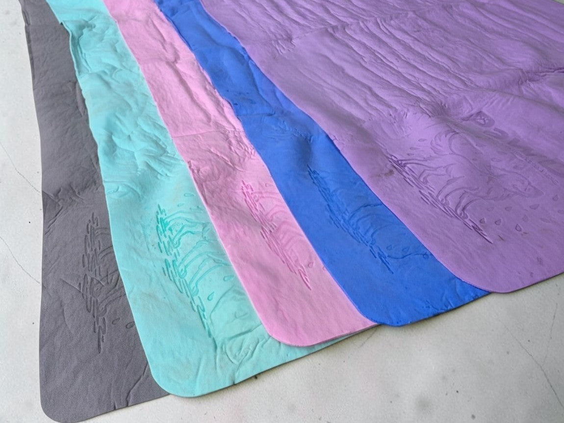 PawDry Super Absorbent Dog Towel